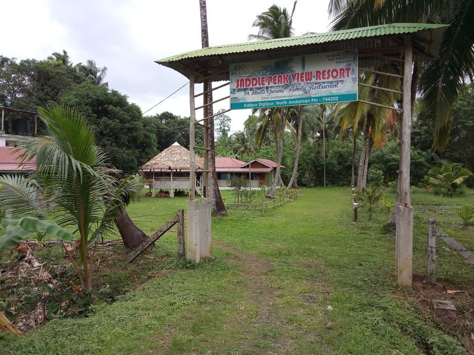 Photo of North Andaman - Diglipur and highest mountain - Saddle Peak by Rajesh Salvi