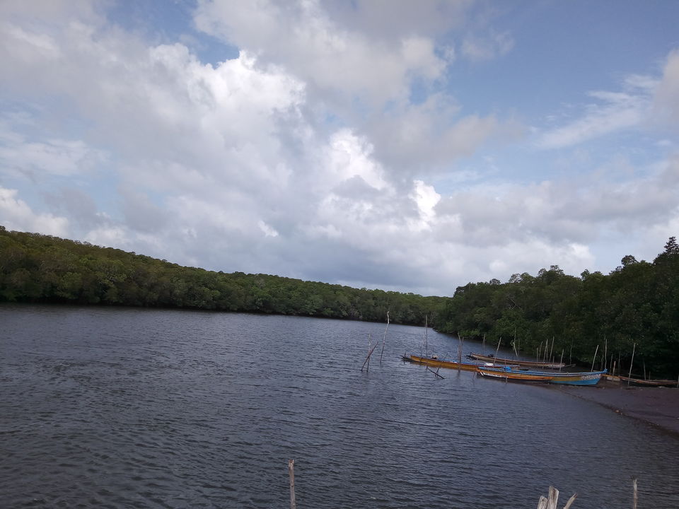 Photo of Middle Andaman - Pristine Long Island 2/10 by Rajesh Salvi