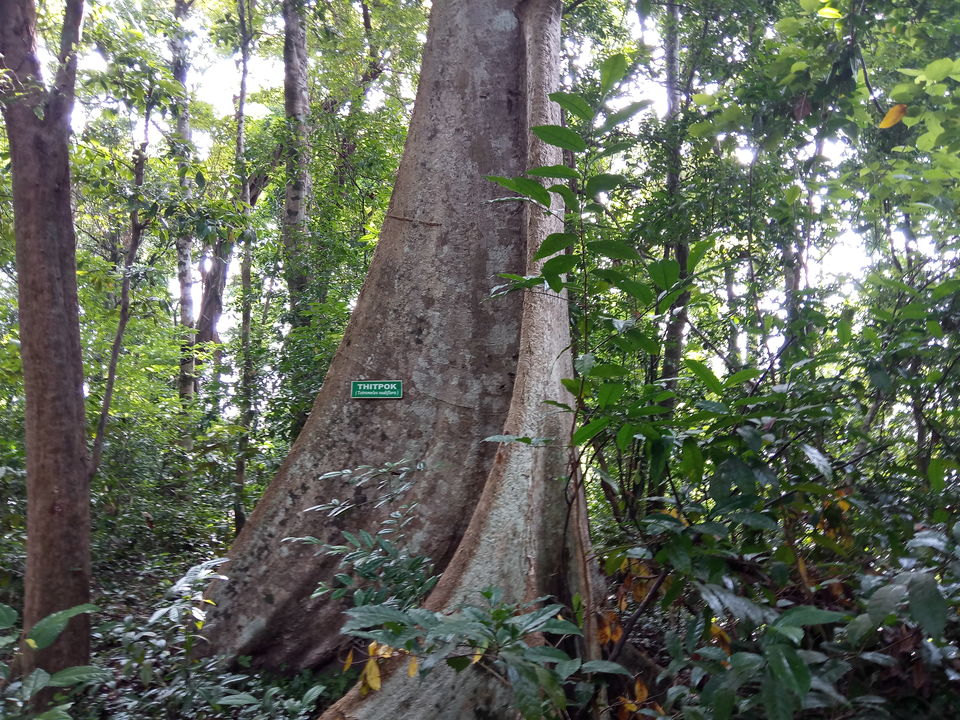 Photo of Middle Andaman - Pristine Long Island 7/10 by Rajesh Salvi