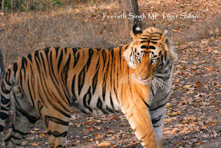 Photo of Bandhavgarh Historical Treasure Trove of Ancient Artifacts & Civilizational Remains 1/4 by Uday Patel