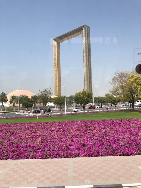 Photo of 2020 Dubai to Cape Town Cruise 7/22 by Brian Whitelaw
