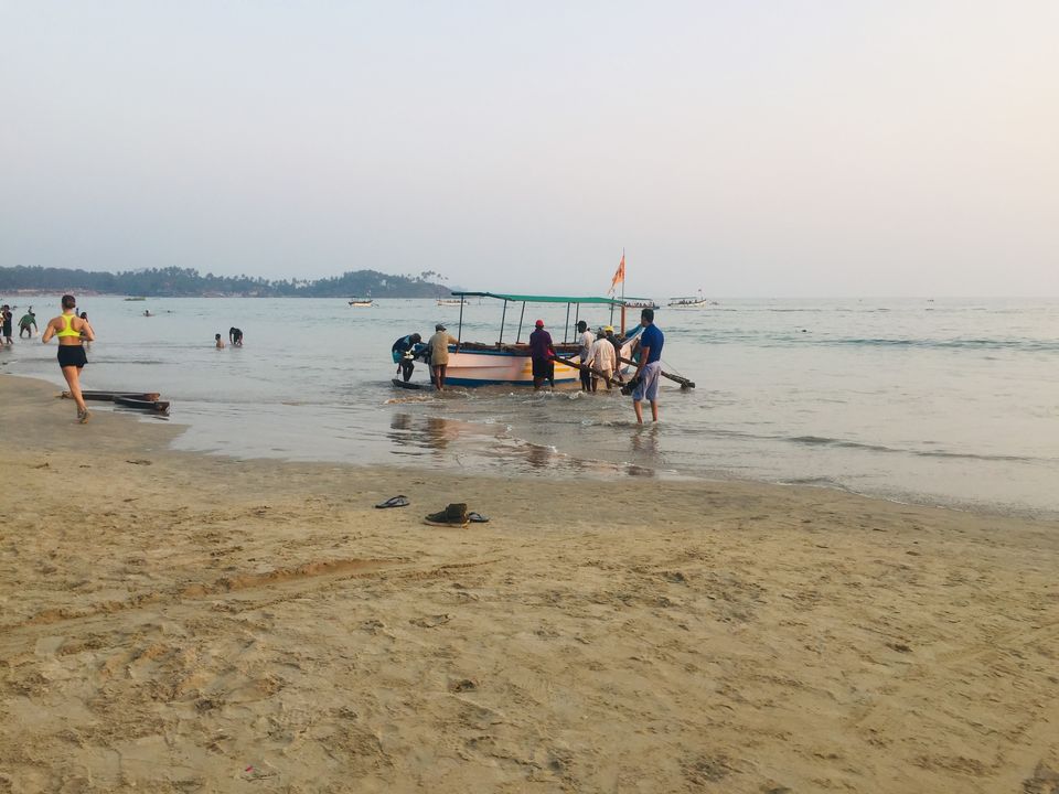 Photo of The Silent Goa!! 10/12 by Priti Adarkar
