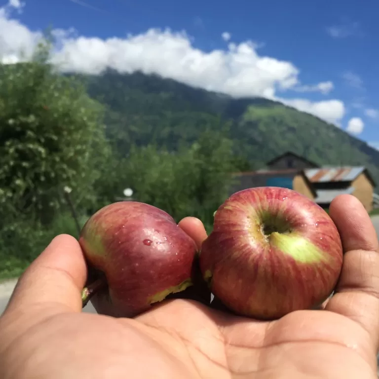 Photo of Langza, Himachal Pradesh, India by Shubhankar Avhad