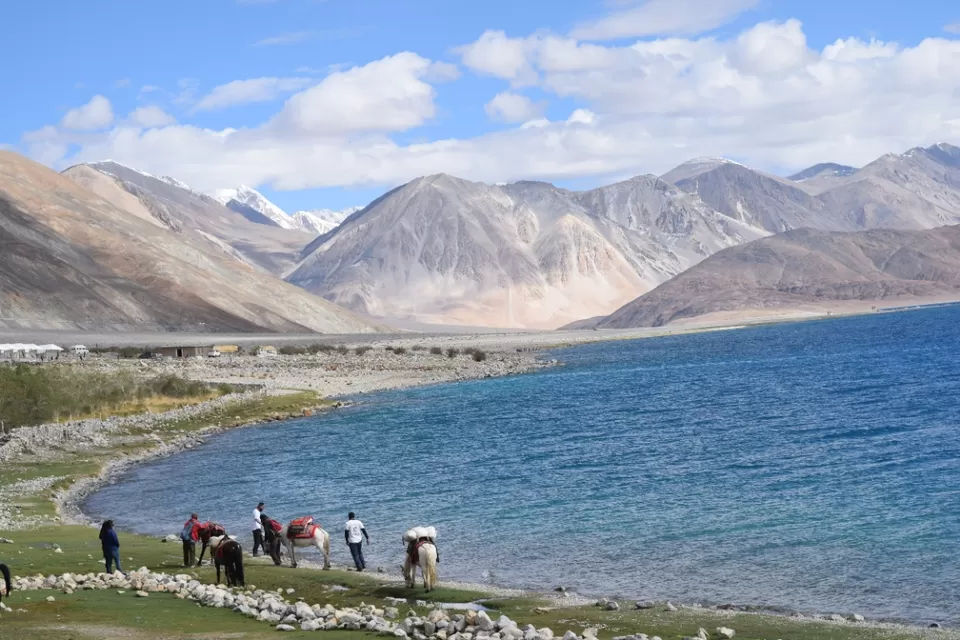 Photo of Nubra Valley by Shubhankar Avhad