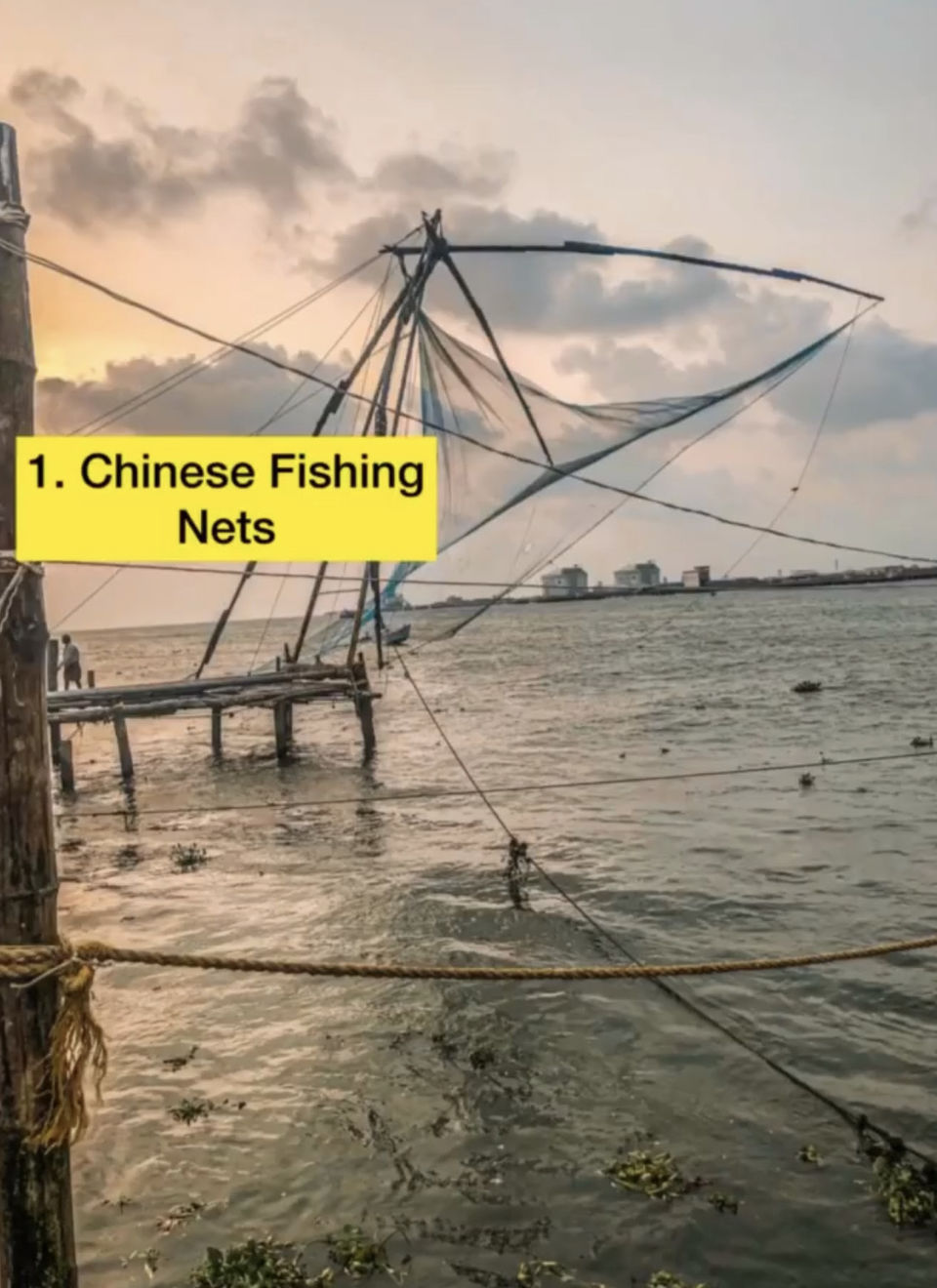 Photo of 6 Places To Visit In Kochi 2/7 by ApyTravelStories