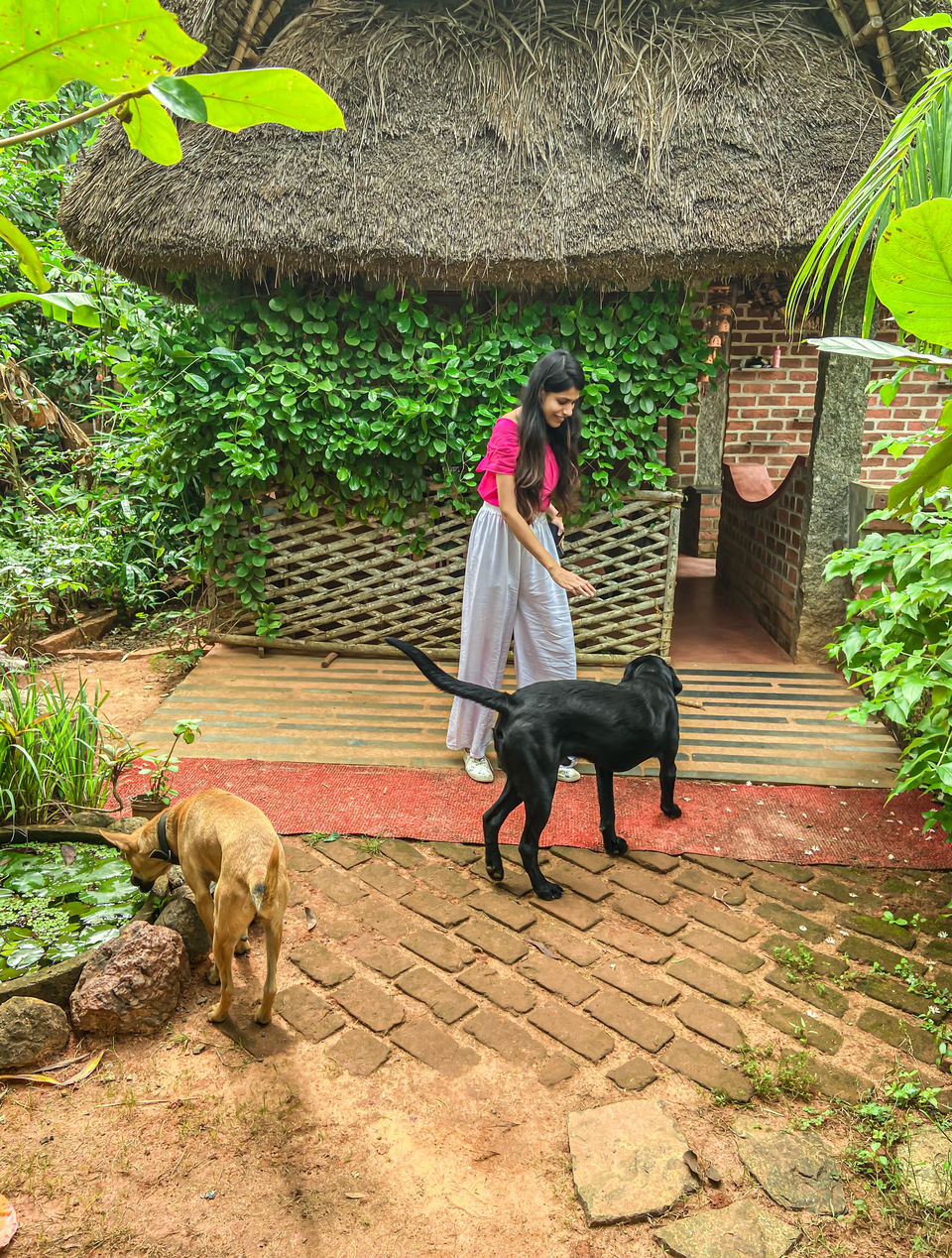 Photo of Keeth House - Auroville by ApyTravelStories