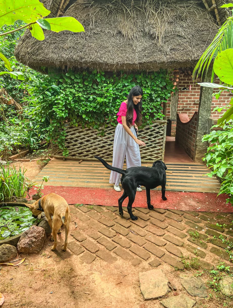 Photo of Keeth House - Auroville by ApyTravelStories