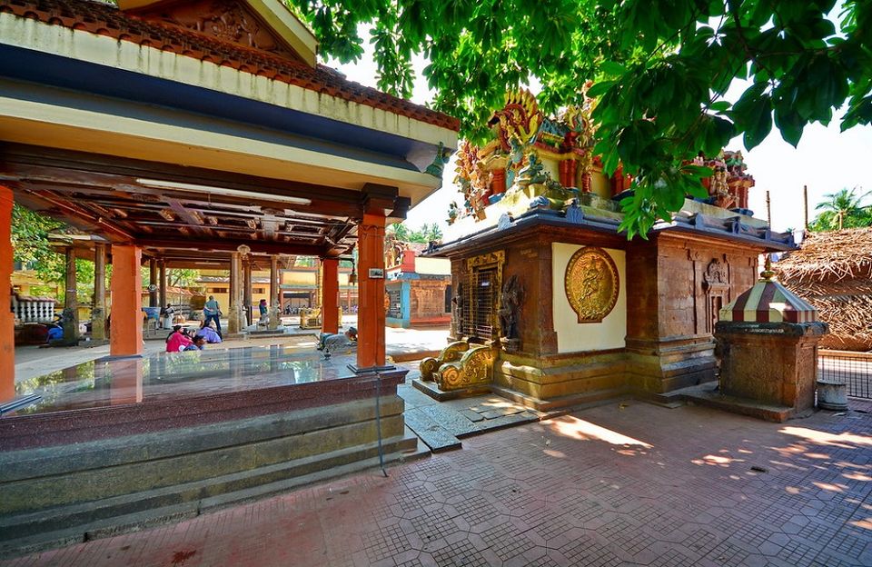 Photo of 9 Must-See Attractions to Visit and Experience in Varkala in Kerala 4/5 by Kerala Trip