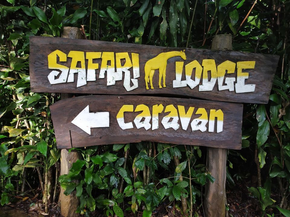 Photo of Taman Safari Bogor, Cibeureum, Bogor, West Java, Indonesia by Priya Choudhary