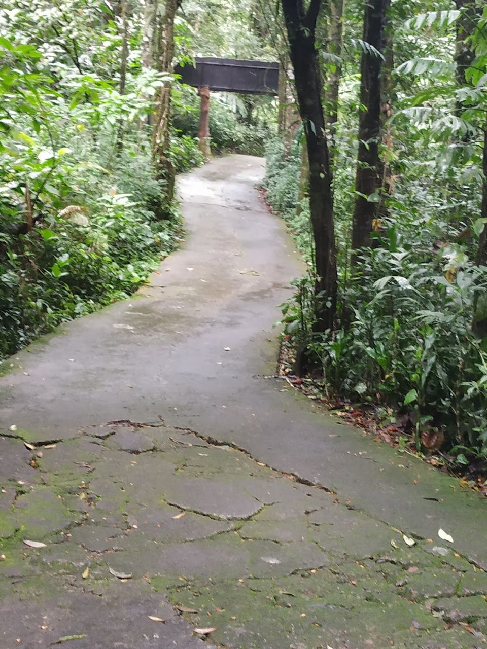Photo of Taman Safari Bogor, Cibeureum, Bogor, West Java, Indonesia by Priya Choudhary
