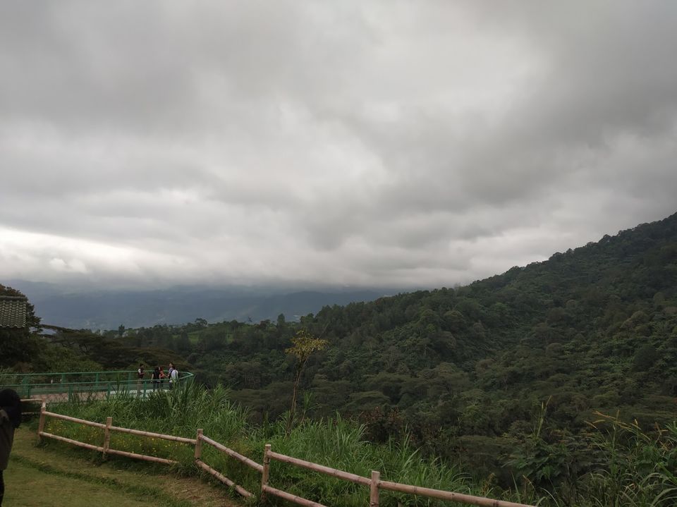 Photo of Taman Safari Bogor, Cibeureum, Bogor, West Java, Indonesia by Priya Choudhary