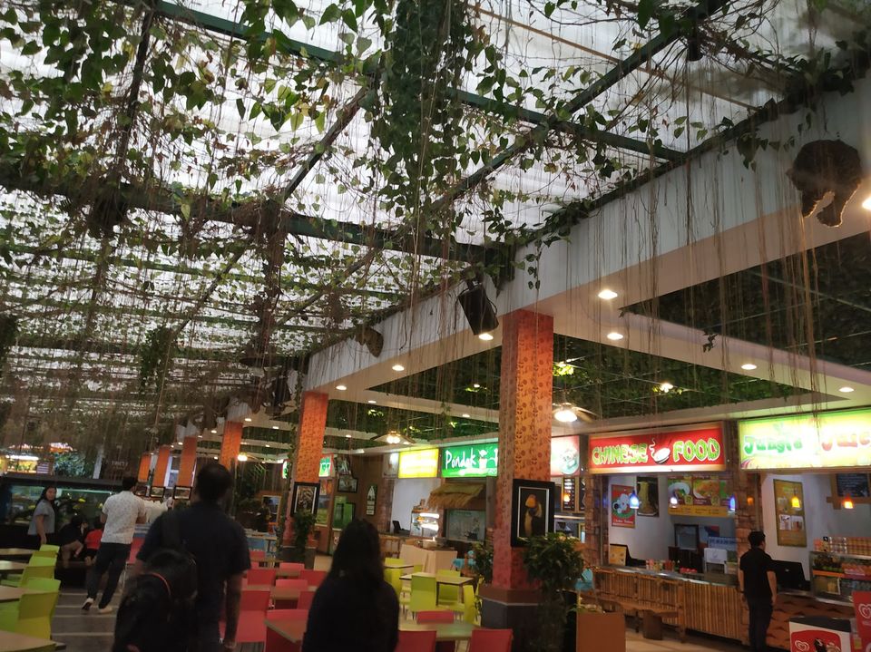 Photo of Taman Safari Bogor, Cibeureum, Bogor, West Java, Indonesia by Priya Choudhary