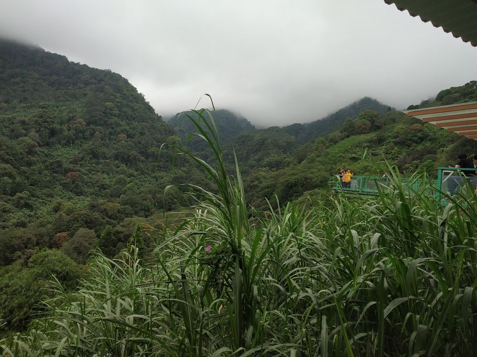 Photo of Taman Safari Bogor, Cibeureum, Bogor, West Java, Indonesia by Priya Choudhary