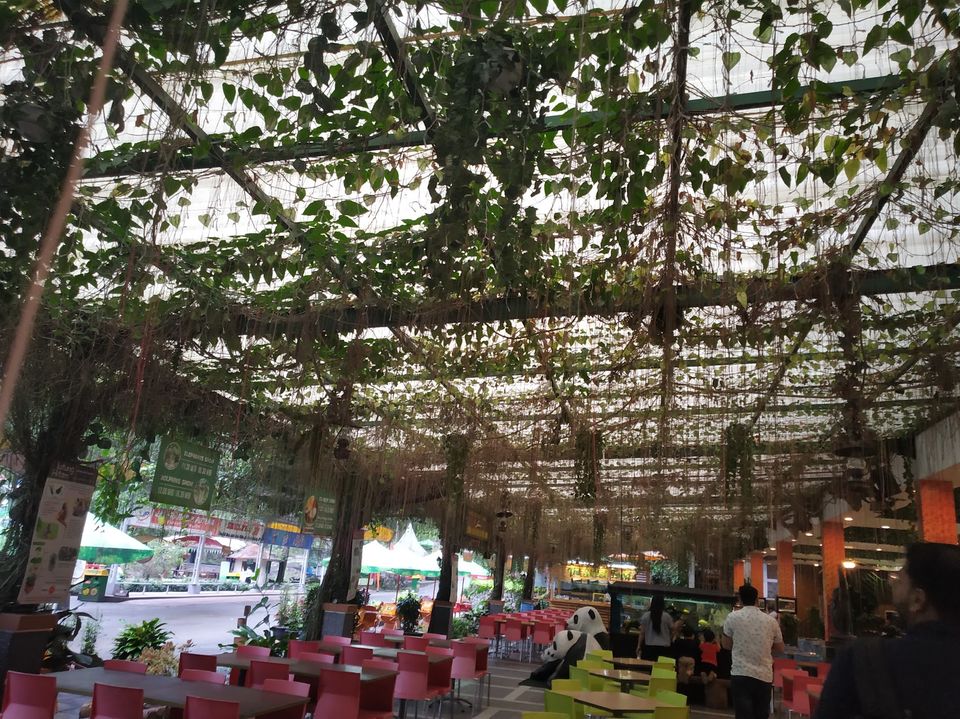 Photo of Taman Safari Bogor, Cibeureum, Bogor, West Java, Indonesia by Priya Choudhary