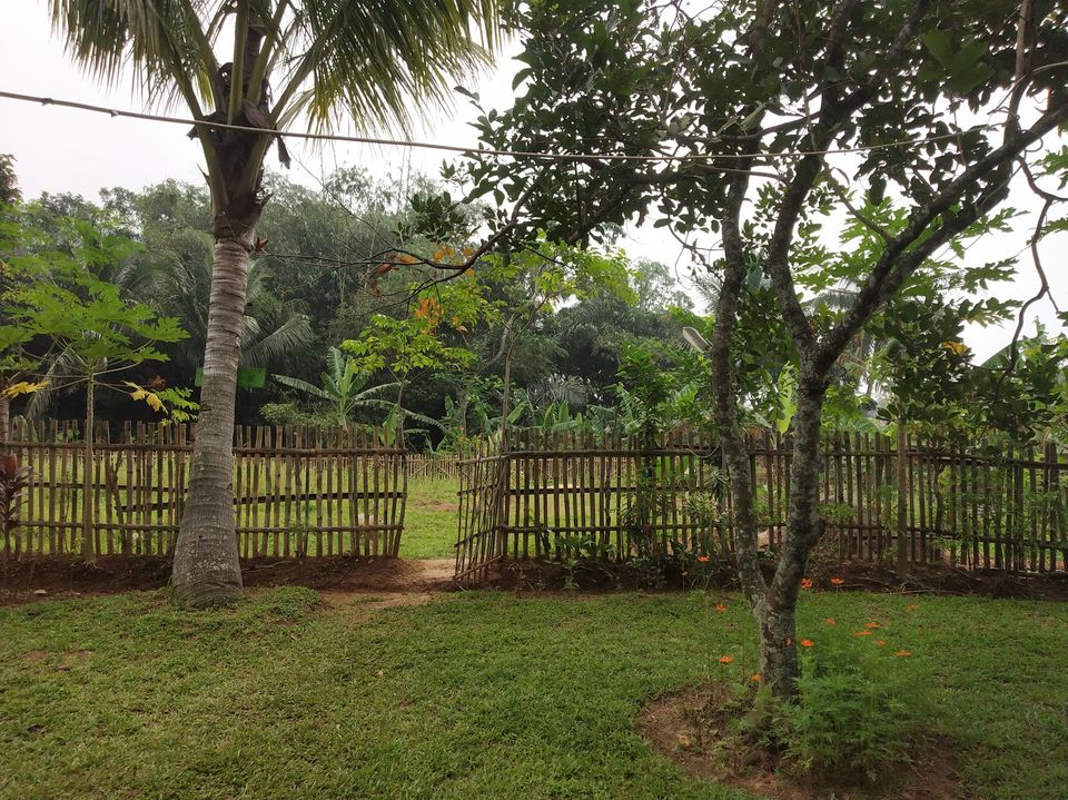 Photo of My First International Trip to Jakarta by Priya Choudhary
