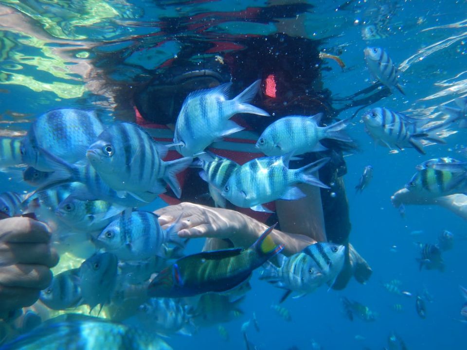 Photo of Pari island, Pari Island, Kepulauan Seribu Regency, Jakarta, Indonesia by Priya Choudhary