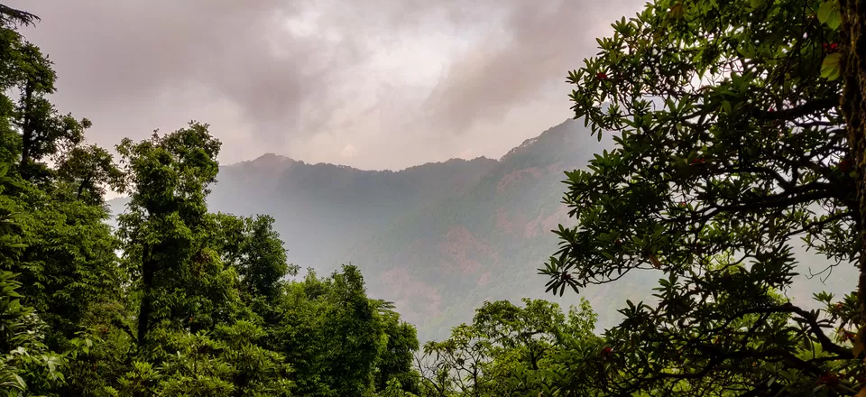 Photo of Solo Car Trip to Mussoorie, Dhanaolti, Kannatal, Tehri Dam and Rishikesh by Aashish John Rao