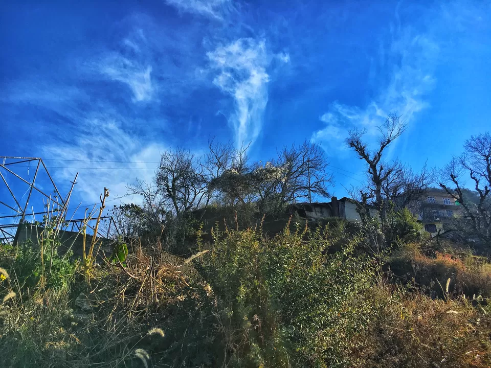 Photo of Hotel Chail Residency, Chail, Himachal Pradesh, India by Apurva Chaudhary