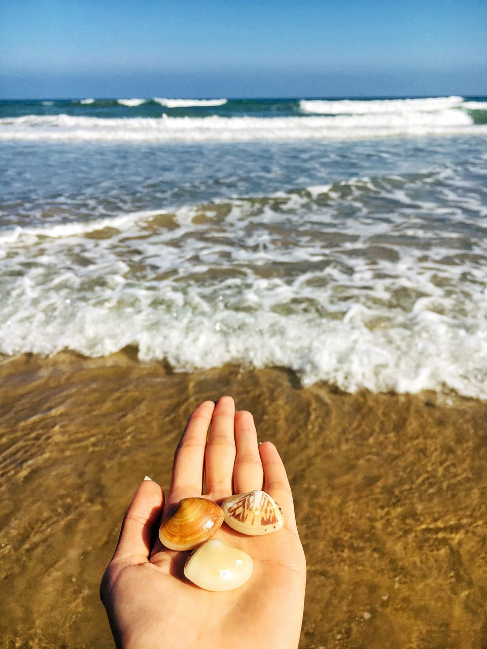 Photo of Paradise beach, Thiru Vi - Ka Street, Chinna Veerampattinam, Pondicherry, India by Apurva Chaudhary