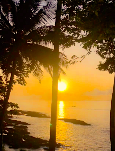 Photo of Kalapathar Beach, Andaman and Nicobar Islands, India by Vaishnavi Tripathi