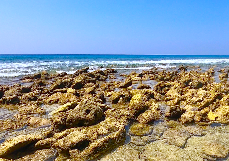 Photo of Lakshmanpur Beach No 2, Village Road, Lakshmanpur, Andaman and Nicobar Islands, India by Vaishnavi Tripathi