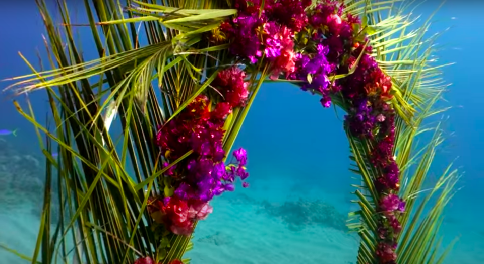 Photo of Want to prove how deep your love is? Have an underwater wedding in Havelock Island! 2/9 by Vaishnavi Tripathi