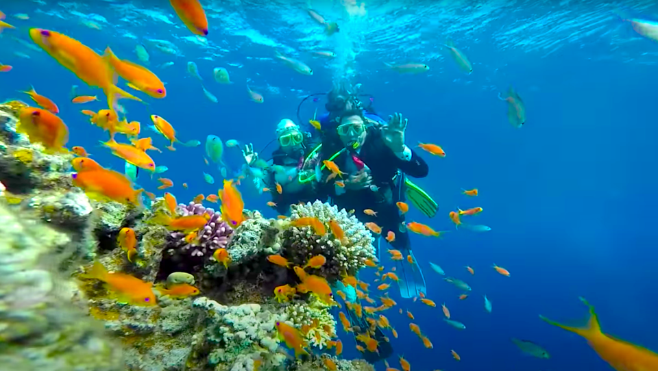 Photo of Want to prove how deep your love is? Have an underwater wedding in Havelock Island! 4/9 by Vaishnavi Tripathi