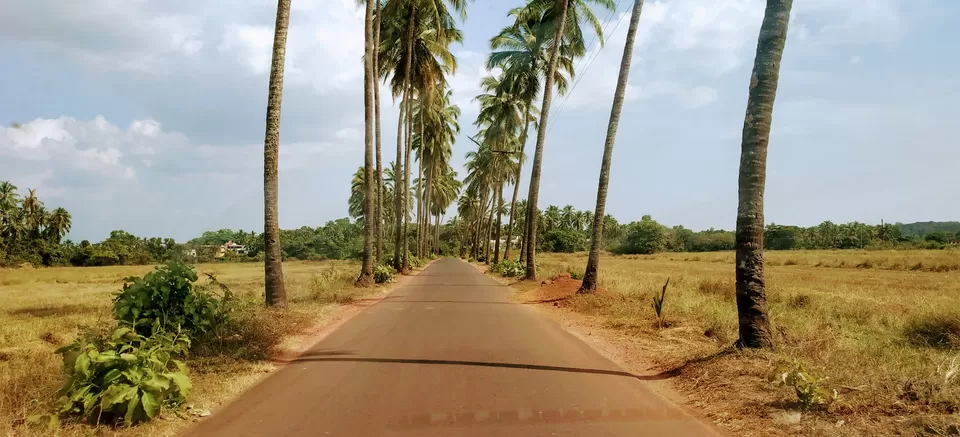 Photo of Candolim Beach, Candolim, Goa by Prianca Sahu