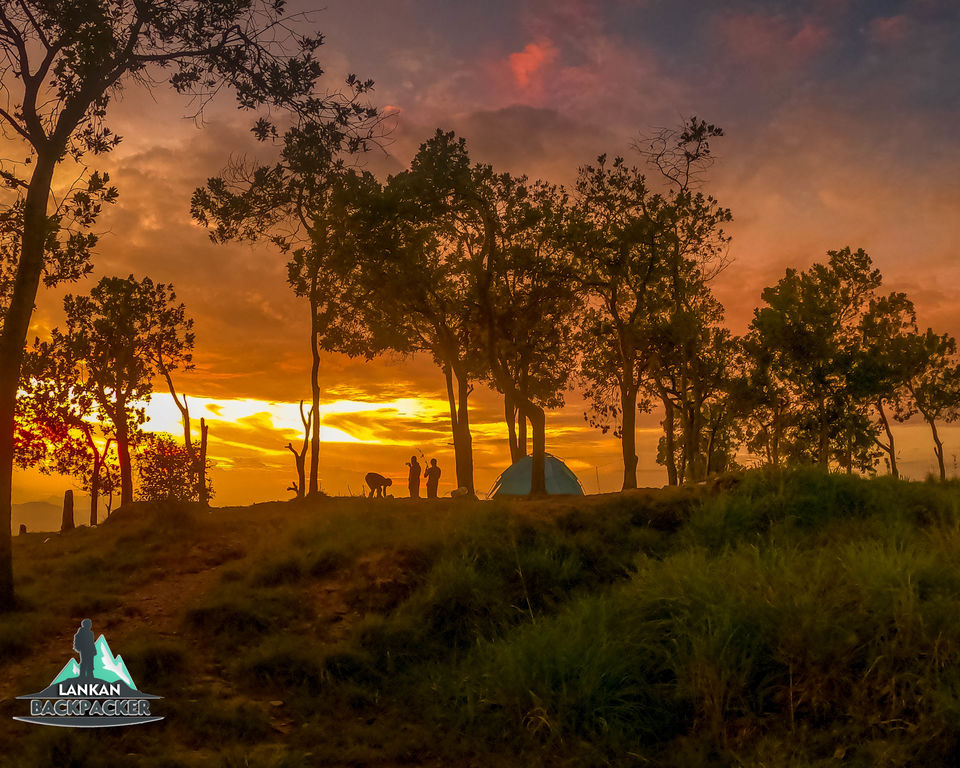 Photo of Lockdown in the Woods #SecondHome by Shenal Jayasinghe