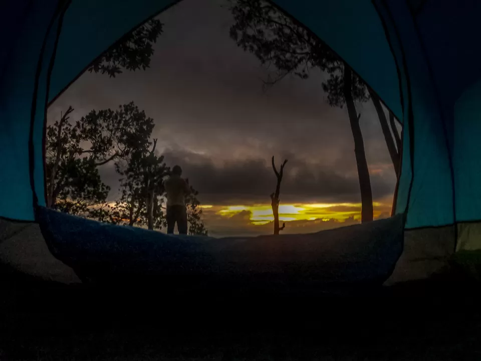 Photo of Lockdown in the Woods #SecondHome by Shenal Jayasinghe