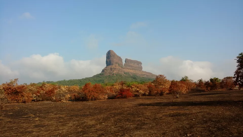 Photo of Maharashtra, Tail Baila, India by Sarthak Anil Phatak