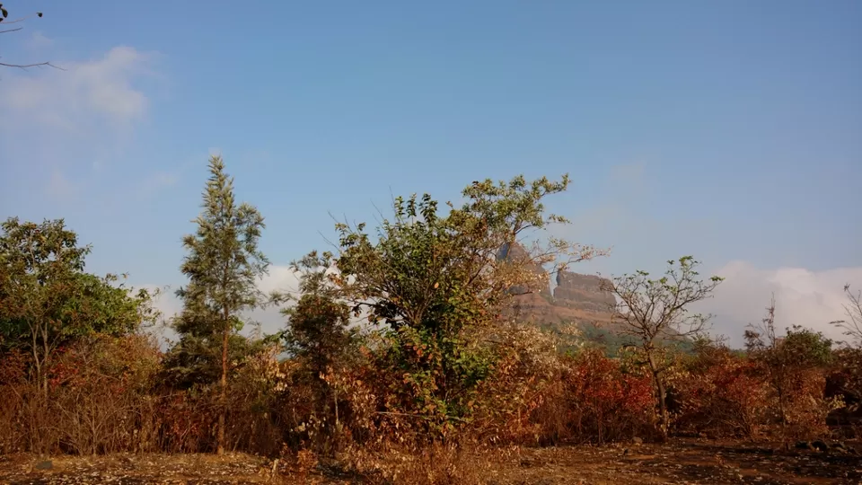 Photo of Maharashtra, Tail Baila, India by Sarthak Anil Phatak