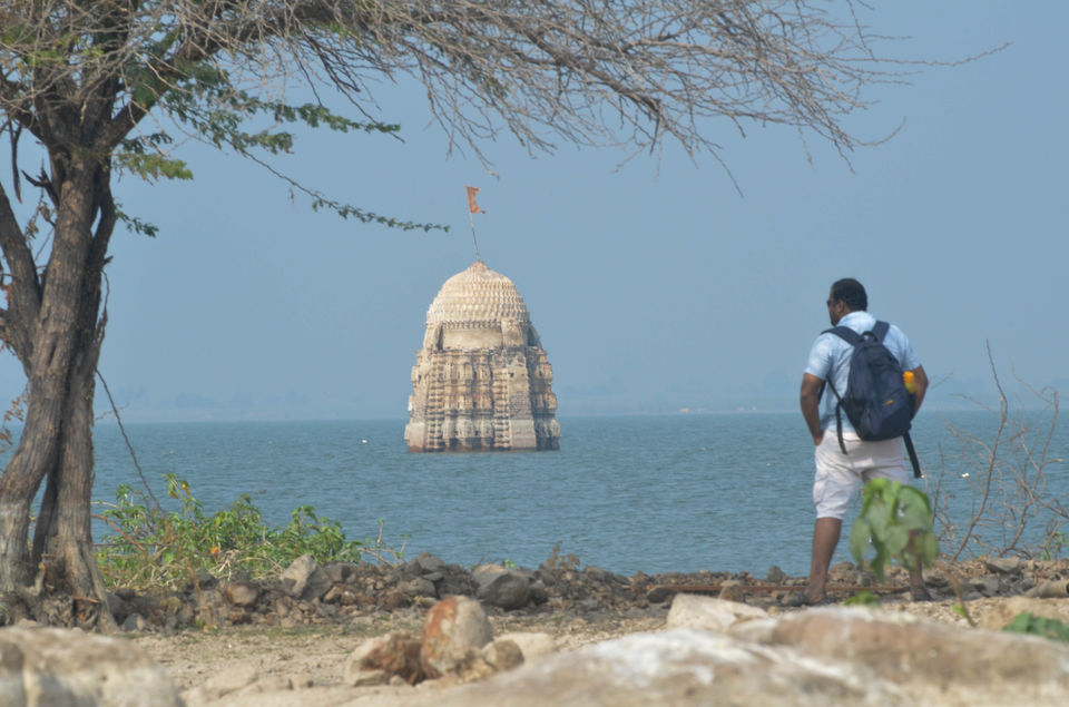 Photo of Palaseo - Uncertain and surprising 7/27 by Sarthak Anil Phatak