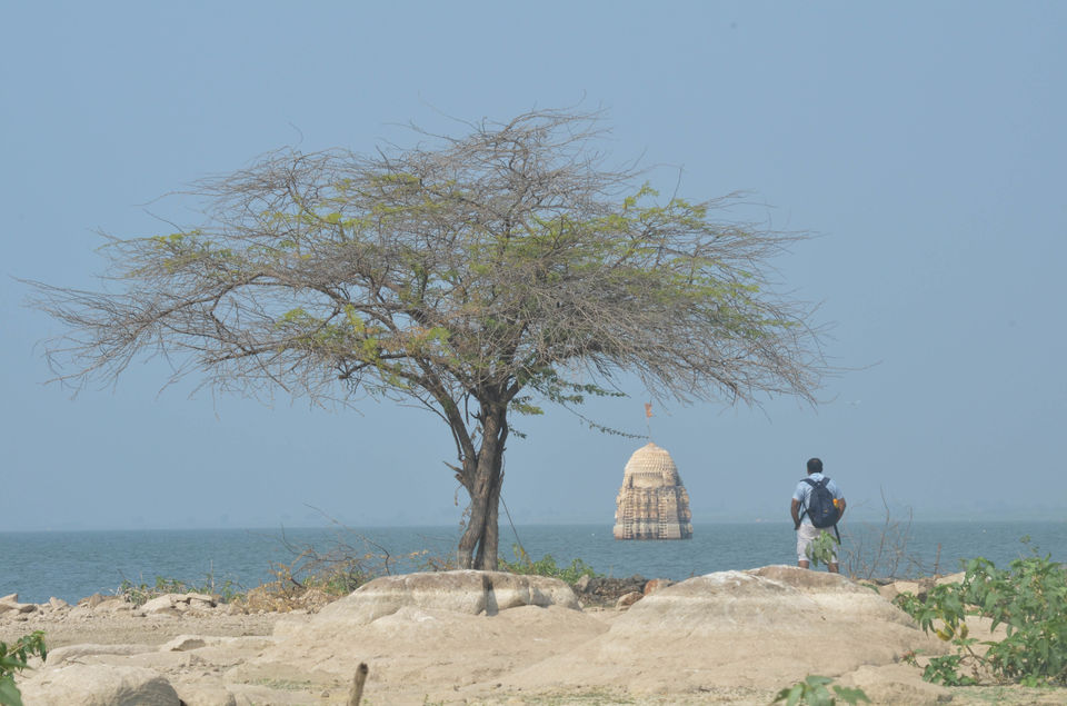 Photo of Palaseo - Uncertain and surprising 8/27 by Sarthak Anil Phatak