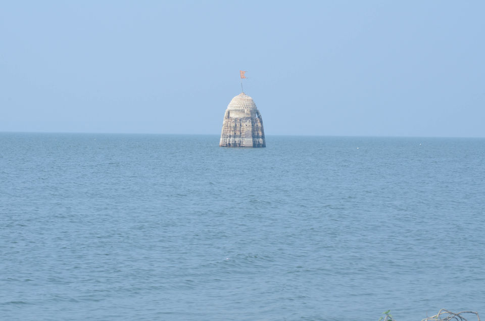 Photo of Palaseo - Uncertain and surprising 9/27 by Sarthak Anil Phatak