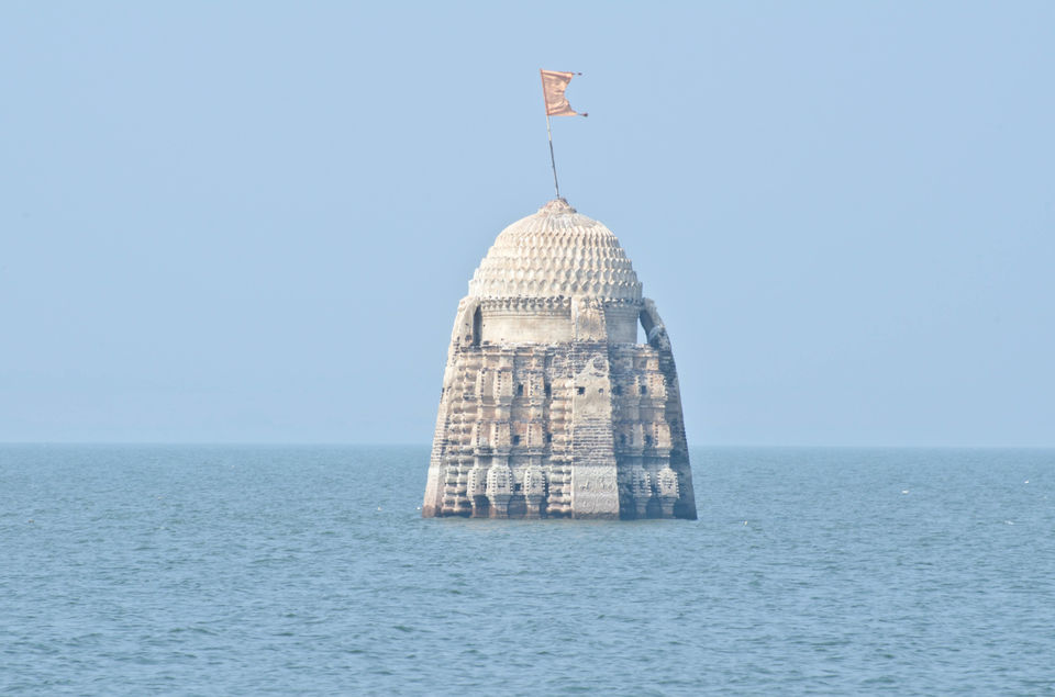 Photo of Palaseo - Uncertain and surprising 10/27 by Sarthak Anil Phatak