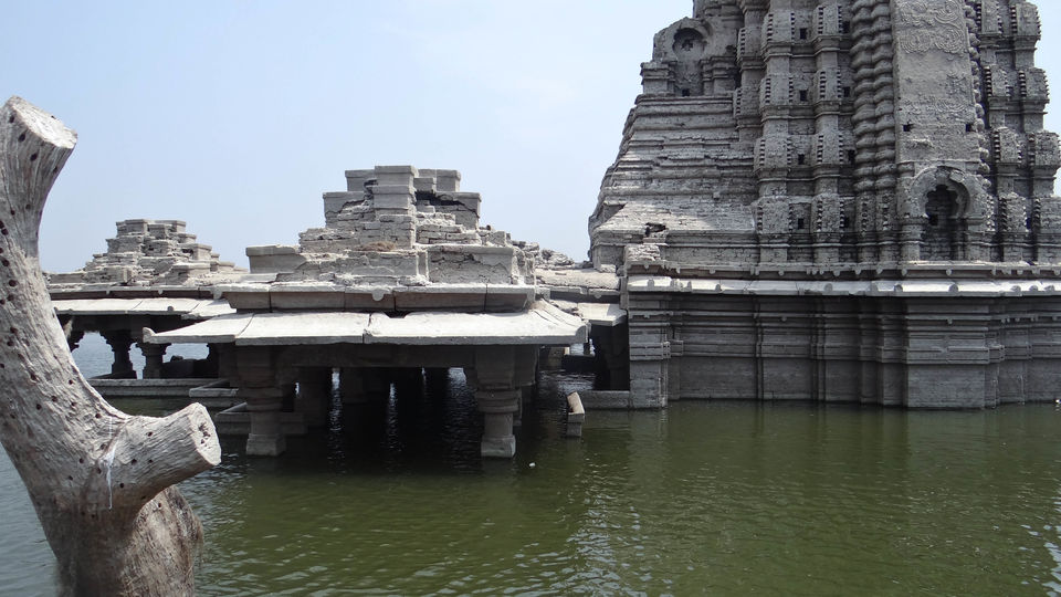Photo of Palaseo - Uncertain and surprising 15/27 by Sarthak Anil Phatak