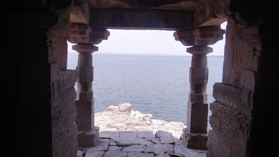 Photo of Palaseo - Uncertain and surprising 19/27 by Sarthak Anil Phatak