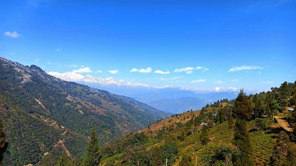 Rangaroon – Chatakpur Trip 2020 ( via Kurseong, Darjeeling). - Tripoto