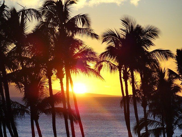 Photo of Finding Low Cost Trips To Hawaii by gobinda rabha