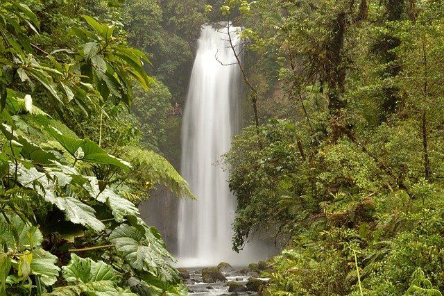 Photo of Costa Rica Caribbean Travel by gobinda rabha