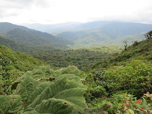 Photo of Costa Rica Caribbean Travel by gobinda rabha