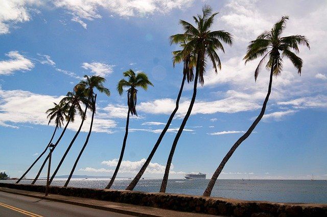 Photo of Hawaiian Cruise Guide by gobinda rabha
