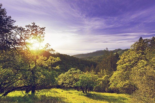 Photo of California Wine Sonoma County Vineyards by gobinda rabha