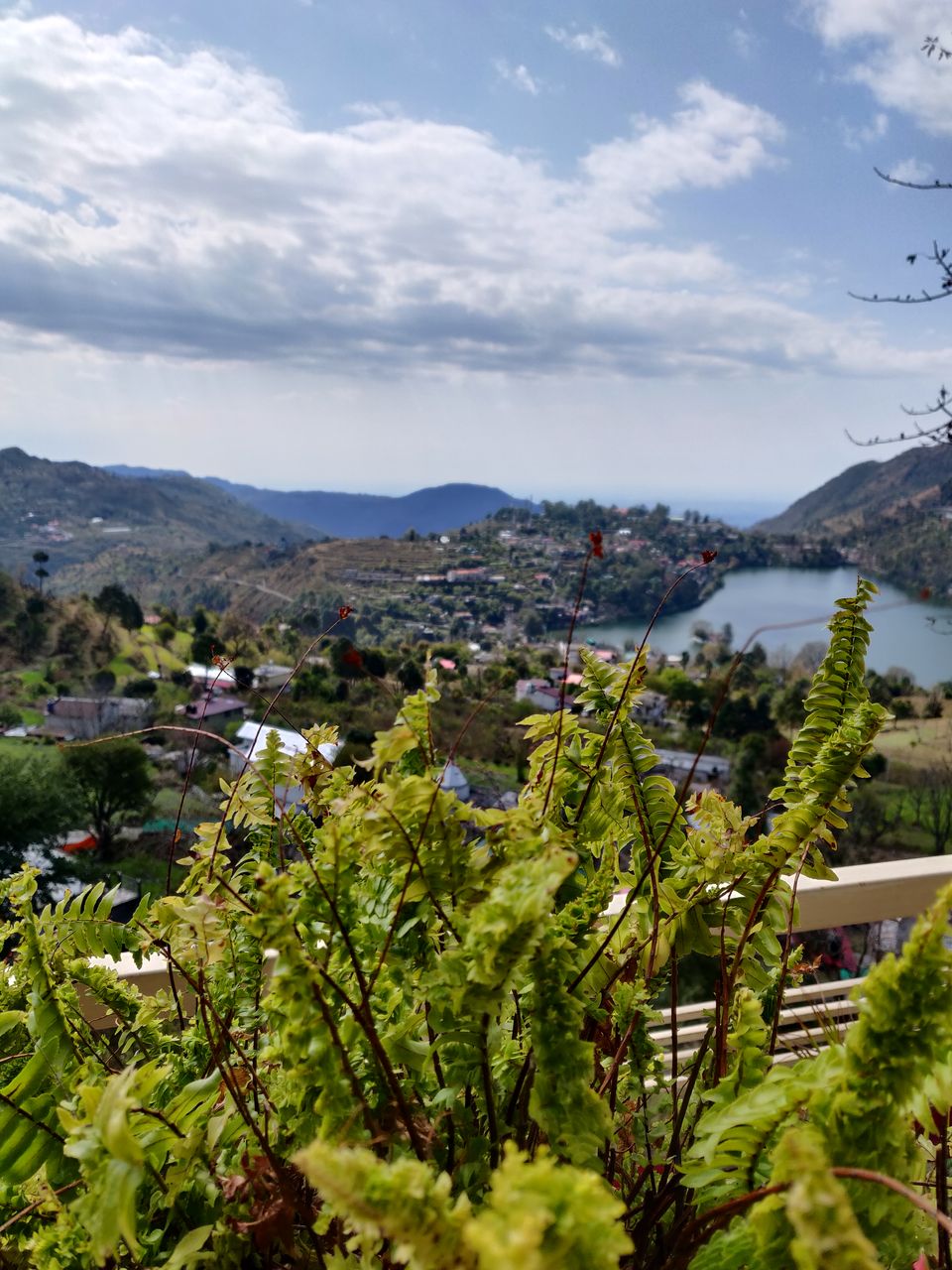 Photo of Magpie Retreat, Bhimtal - A Bird Watcher's Paradise #SecondHome by Ayushi Mathur