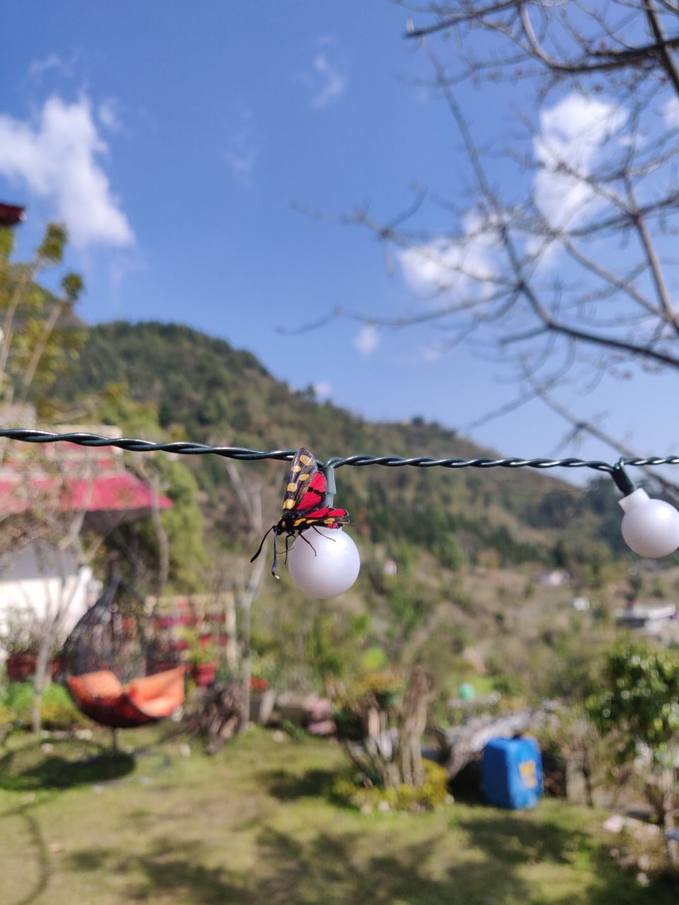 Photo of Magpie Retreat, Bhimtal - A Bird Watcher's Paradise #SecondHome by Ayushi Mathur