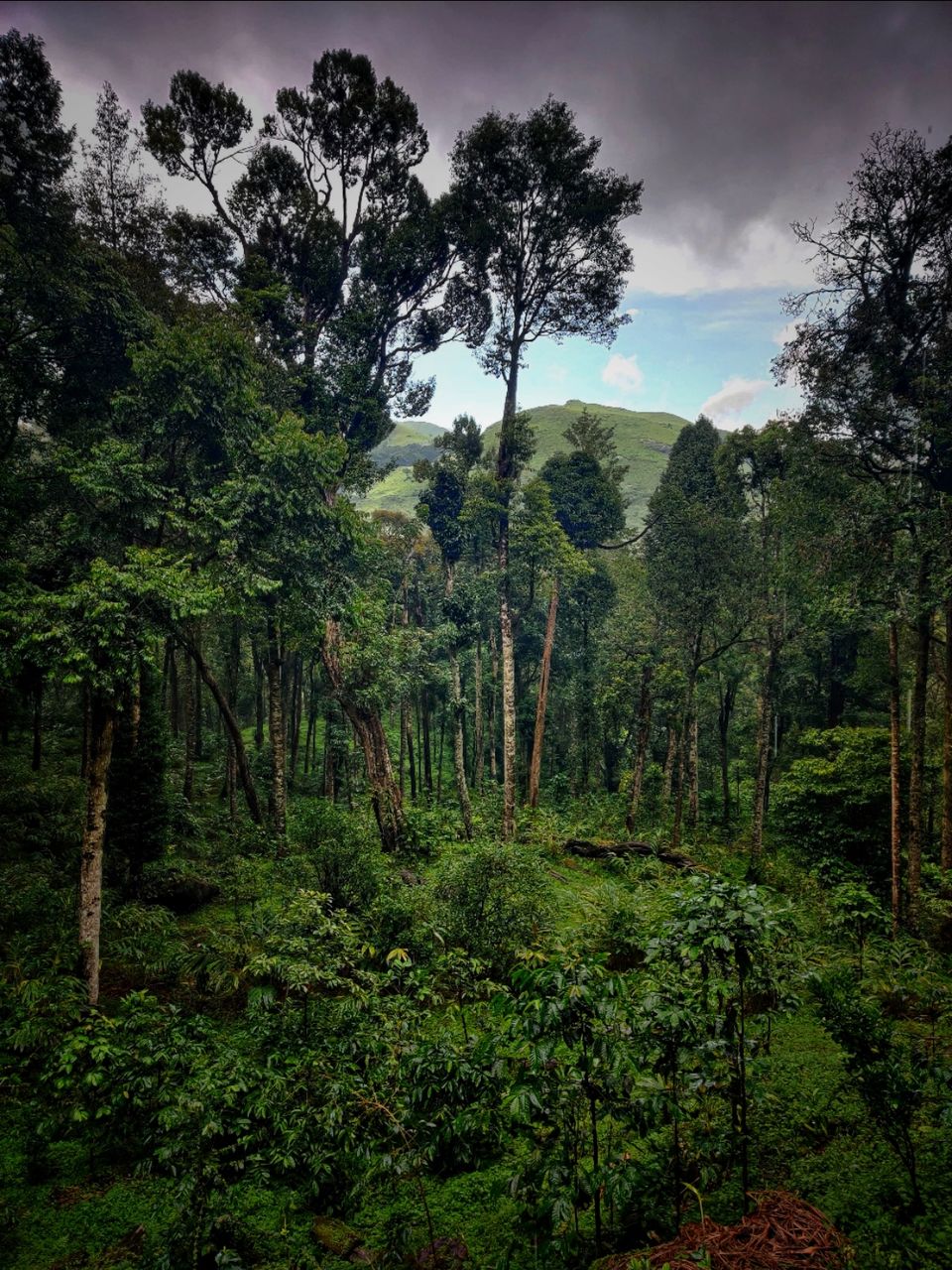 Photo of A weekend camping at Tentgraam by Zuhra Siraj
