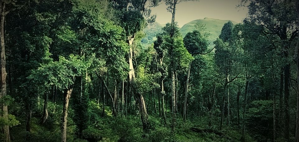 Photo of A weekend camping at Tentgraam by Zuhra Siraj
