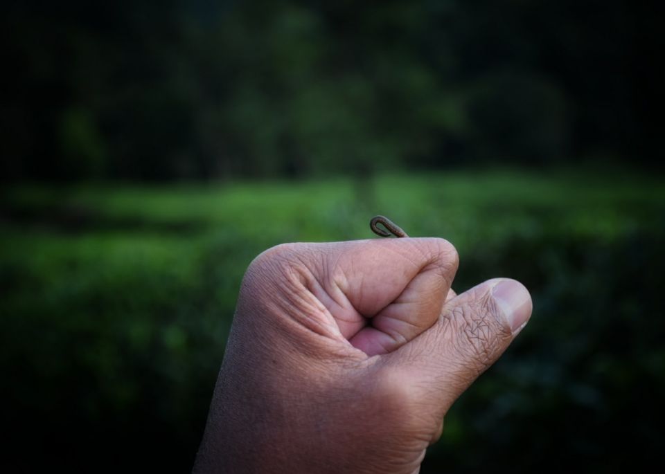 Photo of A weekend camping at Tentgraam by Zuhra Siraj