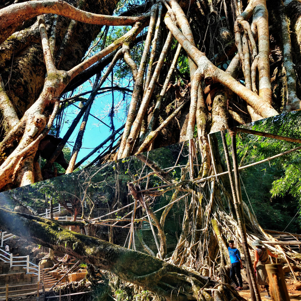 Photo of Take me to Meghalaya!! by Zuhra Siraj